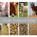 Feed Additives Factory - Antimicrobial Emulsifier GML90