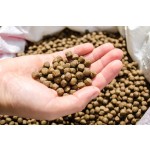 Glycerol Monolaurate Factory - Food Grade Emulsifier Preservative