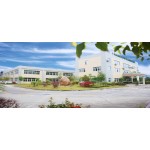 Glycerin Monostearate Supplier - 90% Food Additive Emulsifier