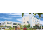 Glycerol Monostearate Factory - E471 Whipping Cream Powder