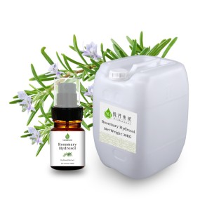 Rosemary Extract Manufacturer - Pure Organic Liquid Hair Growth