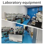 Sandalwood Essential Oil Supplier - High Quality Light Green 3-Year