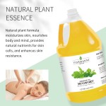 Mugwort Essential Oil Manufacturer - Best Selling Wholesale Bulk Aromatherapy