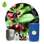 Holly Essential Oil Supplier - Wholesale Price Organic Natural Bulk