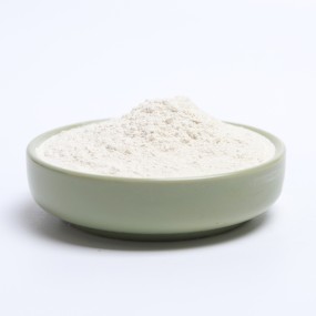 Coconut Milk Powder Supplier - Rich in Protein Desiccated Powder