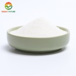 BCAA Powder Manufacturer - Fast Delivery Healthcare Supplement Protein