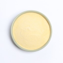 Phosphatidylserine Powder Supplier - Sunflower Soybean Extract 20%