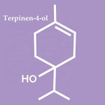Terpinene-4-ol Supplier - 4-Carvomenthenol High Purity