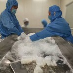 Menthol Crystal Supplier - Natural 99% Food Flavor