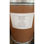 Gellan Gum Powder Supplier - Food Grade Thickening Agent