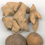 Gallic Acid Supplier - Anhydrous Monohydrate CAS 149-91-7