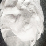 PVC Resin Manufacturer - Pipe Grade Sg5 K65-67 Powder