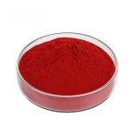 Iron Oxide Pigment Manufacturer - Synthetic Powdered Colorant