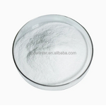 Titanium Dioxide Powder Manufacturer - White Inorganic Pigment CAS