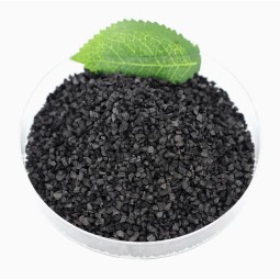 Coconut Shell Activated Charcoal Supplier - Hot Sale Activated Carbon