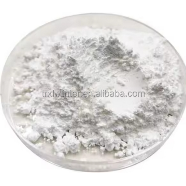 Titanium Dioxide Powder Manufacturer - White Inorganic Pigment CAS