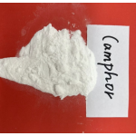 Synthetic Camphor Powder Supplier - Wholesale CAS 76-22-2