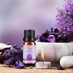 Essential Oils Gift Set Supplier - Hot Selling Private Label