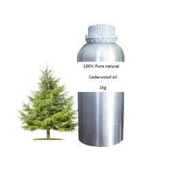 Cedar Wood Oil Manufacturer - 100% Pure Organic Liquid for Skin