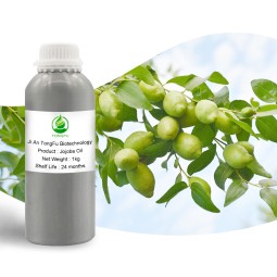 Jojoba Oil Factory - Top Grade 100% Pure Natural Carrier Oil