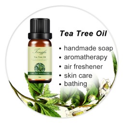 Tea Tree Essential Oil Supplier - Hot Sell Pure Natural
