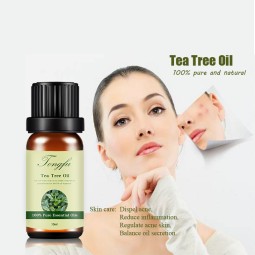 Tea Tree Oil Supplier - Best Quality Cosmetic Use for Acne