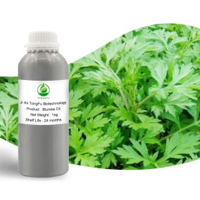Wormwood Essential Oil Factory - Wholesale Bulk 100% Pure Natural