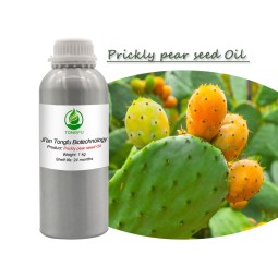 Prickly Pear Seed Oil Manufacturer - Natural Cactus Carrier Oil