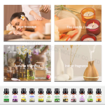 Ginger Rosemary Oil Manufacturer - Factory Directly Pure Natural