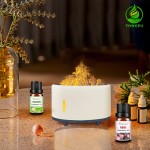 Air Diffuser Manufacturer - Portable Flame Humidifier Household