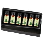 Tea Tree Essential Oil Manufacturer - OEM Wholesale Top Grade