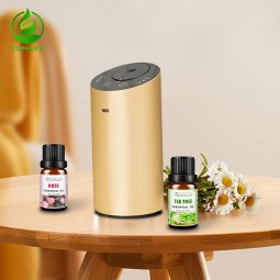 Car Aroma Diffuser Supplier - Portable Essential Oil Aromatherapy