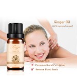 Ginger Rosemary Oil Manufacturer - Factory Directly Pure Natural