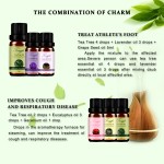 Tea Tree Oil Supplier - Best Quality Cosmetic Use for Acne