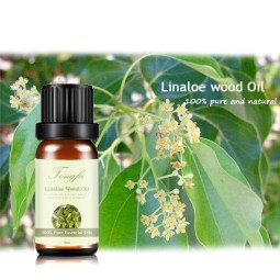 Ho Leaf Essential Oil Manufacturer - Bulk Supply 100% Pure Natural