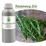 Ginger Rosemary Oil Manufacturer - Factory Directly Pure Natural