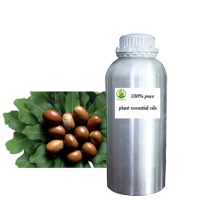 Shea Butter Oil Manufacturer - Cosmetic Grade Body Skin Care