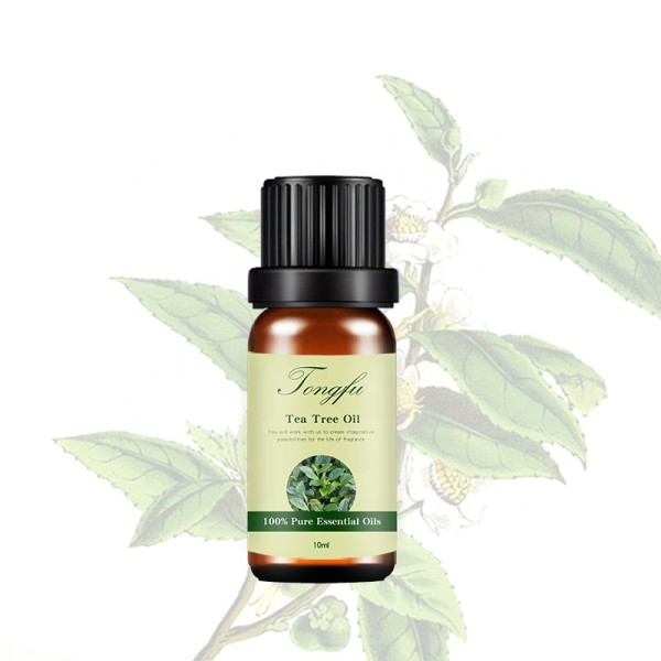 Tea Tree Essential Oil Manufacturer - OEM Wholesale Top Grade