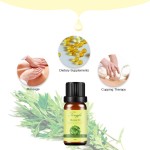 Wormwood Oil Factory - Top Grade 100% Pure Cold Pressed