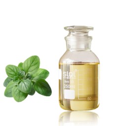 Oregano Essential Oil Supplier - Hot Selling 100% Organic Natural