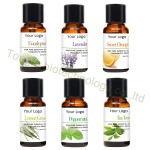 Tea Tree Oil Supplier - Best Quality Cosmetic Use for Acne