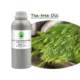 Tea Tree Oil Manufacturer - Bulk Fresher Organic Australia