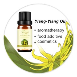Ylang Ylang Oil Manufacturer - 100% Pure Organic Aroma Diffuser