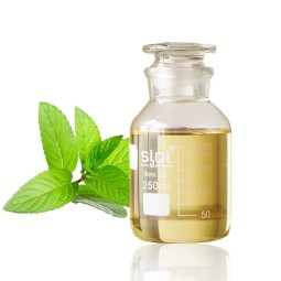 Peppermint Essential Oil Manufacturer - Wholesale Steam Distilled