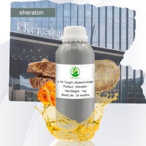 Hotel Aroma Diffuser Oil Supplier - 500ML Capacity Reed Diffuser