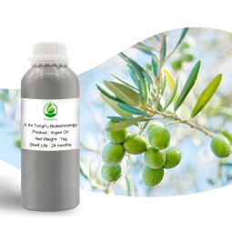Argan Carrier Oil Manufacturer - Best Price Organic for Hair Repair