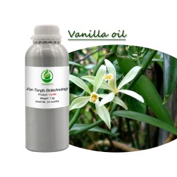 Vanilla Essence Oil Manufacturer - Wholesale Bulk for Candle Making