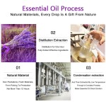 Rose Essential Oil Manufacturer - Pure Organic Face Massage Fragrance