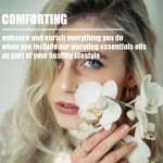 Hotel Essential Oil Manufacturer - OEM Aromatherapy High Concentrated