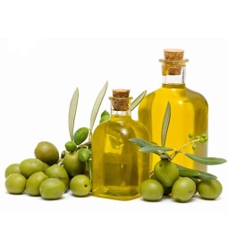 Olive Oil Supplier - Cold Press Virgin 100% Natural Organic